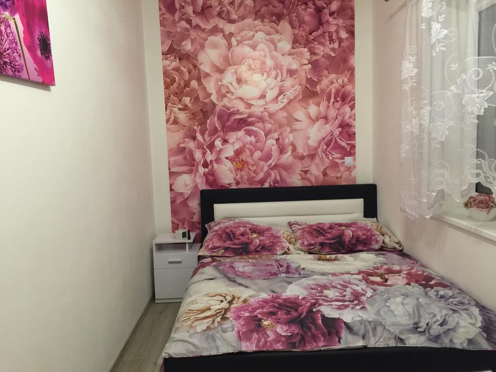 Apartman Na Lukach - Kopretina トレボン エクステリア 写真
