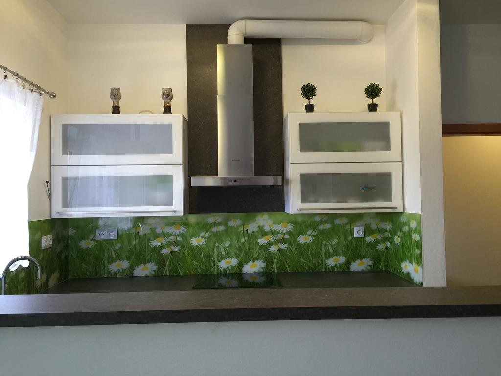 Apartman Na Lukach - Kopretina トレボン エクステリア 写真