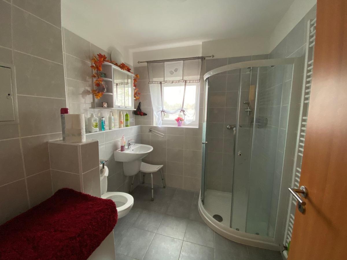 Apartman Na Lukach - Kopretina トレボン エクステリア 写真