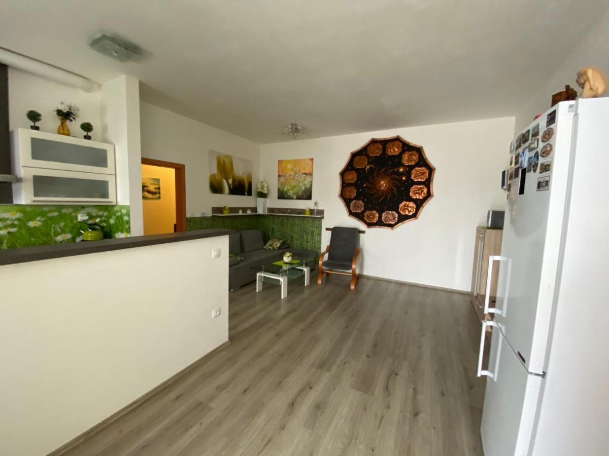 Apartman Na Lukach - Kopretina トレボン エクステリア 写真